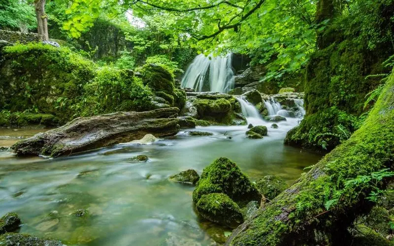 精密高效可靠性